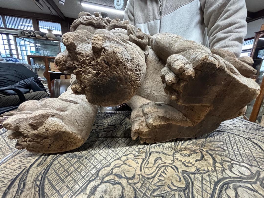 Japan Important Large Pair Early Shinto Temple Lions Hand-Carved, 18th Century For Sale 12