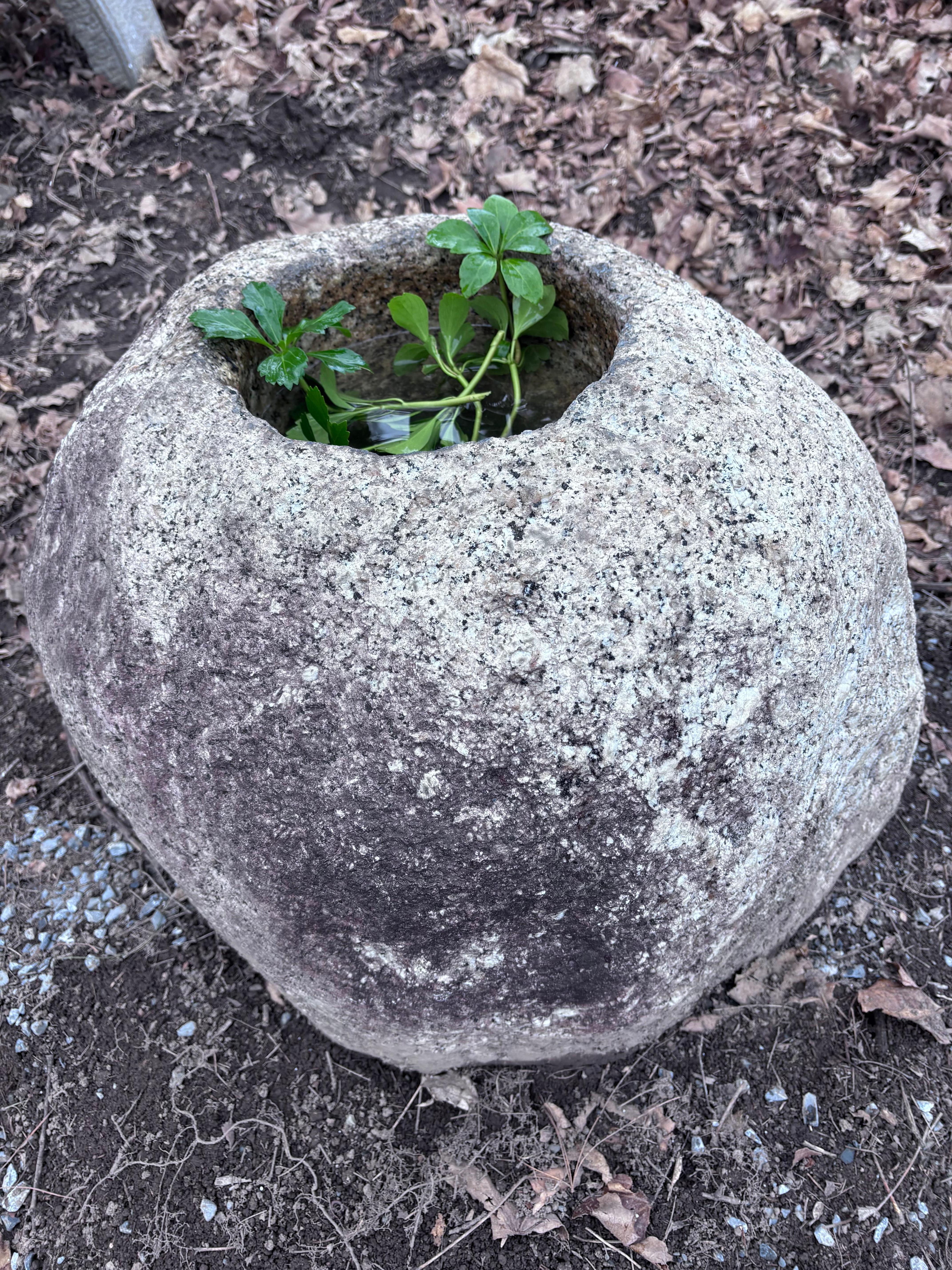 Japan  Large Old Mountain Boulder Stone Water Basin Planter Tsukubai For Sale 1