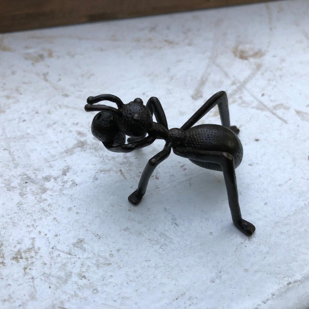Japan Old Bronze Mantis, Ant, Fly, Frog & Toad, Collectors Dream & Fine Details 1