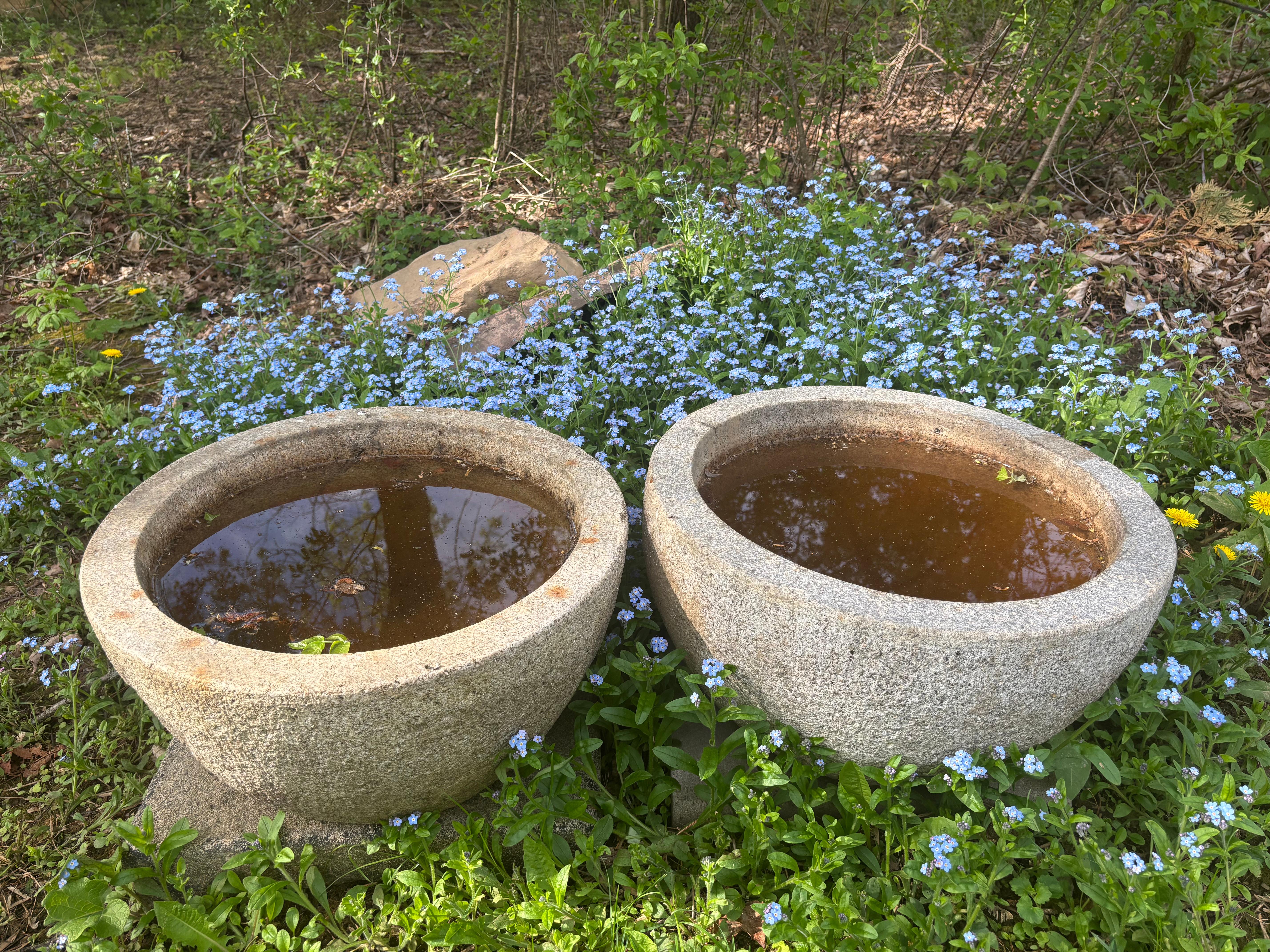 Japón Pareja Grandes Maceteros Redondos Antiguos de Piedra Tsukubai Taisho en venta