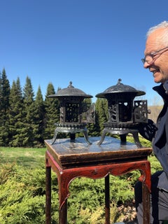 Japan Pair Tall Beautiful Garden Lanterns With Lovely Iris Flowers