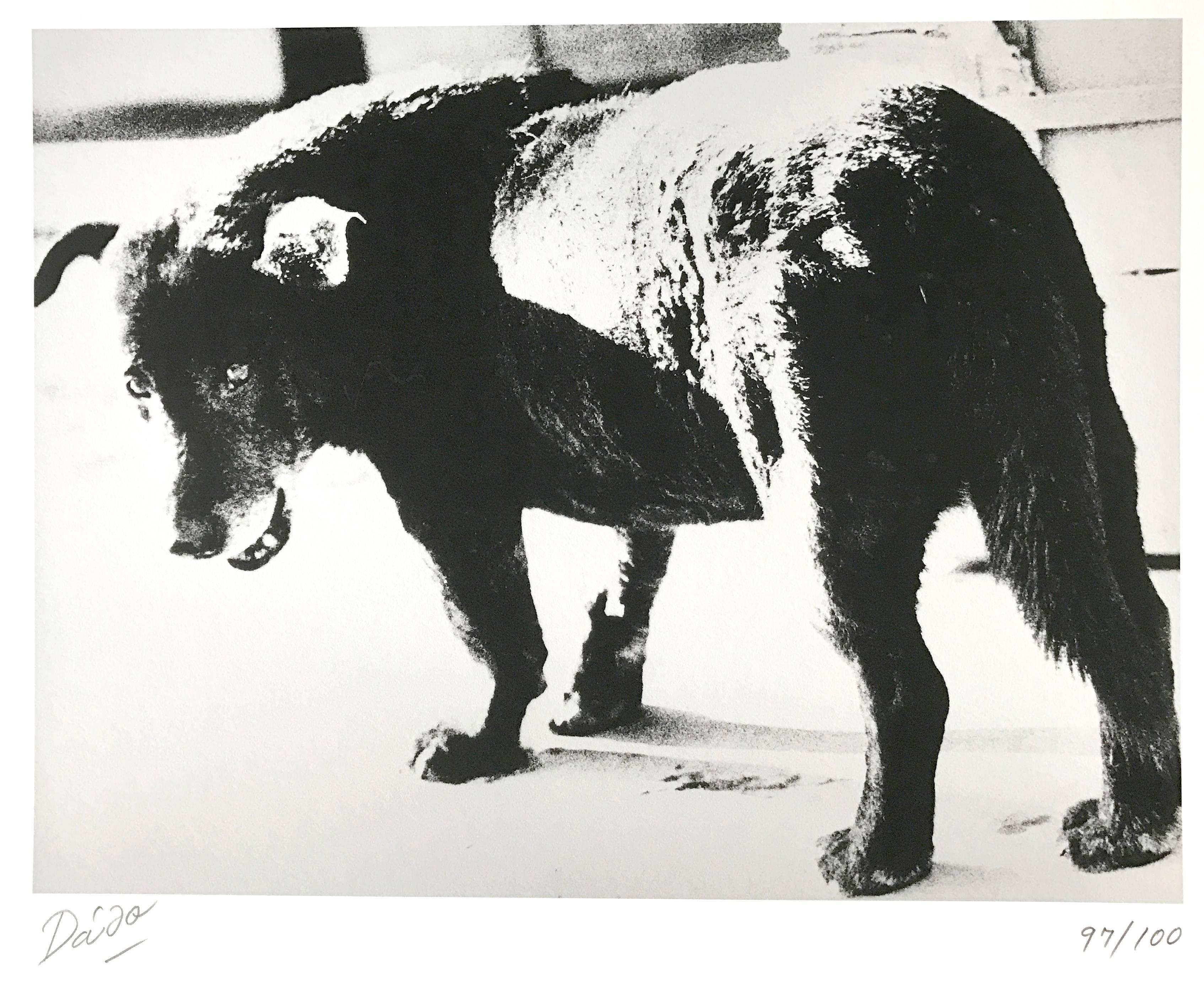 Masters of Contemporary Japanese Photography, Portfolio of 12 Pigment Prints