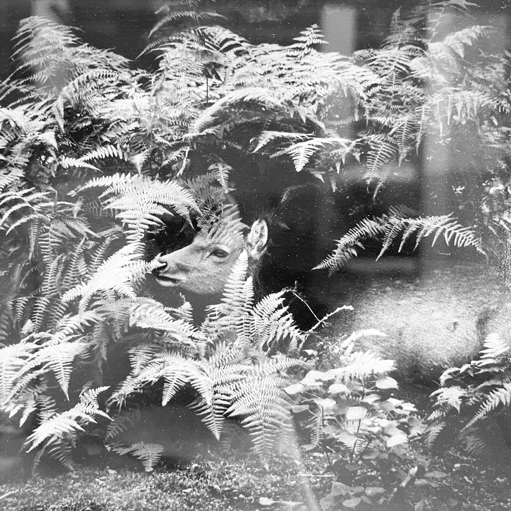 Japan Postmoderner Schwarz-Weiß-Fotodruck-Flow von Masao Yamamoto, 2009 (Japanisch)