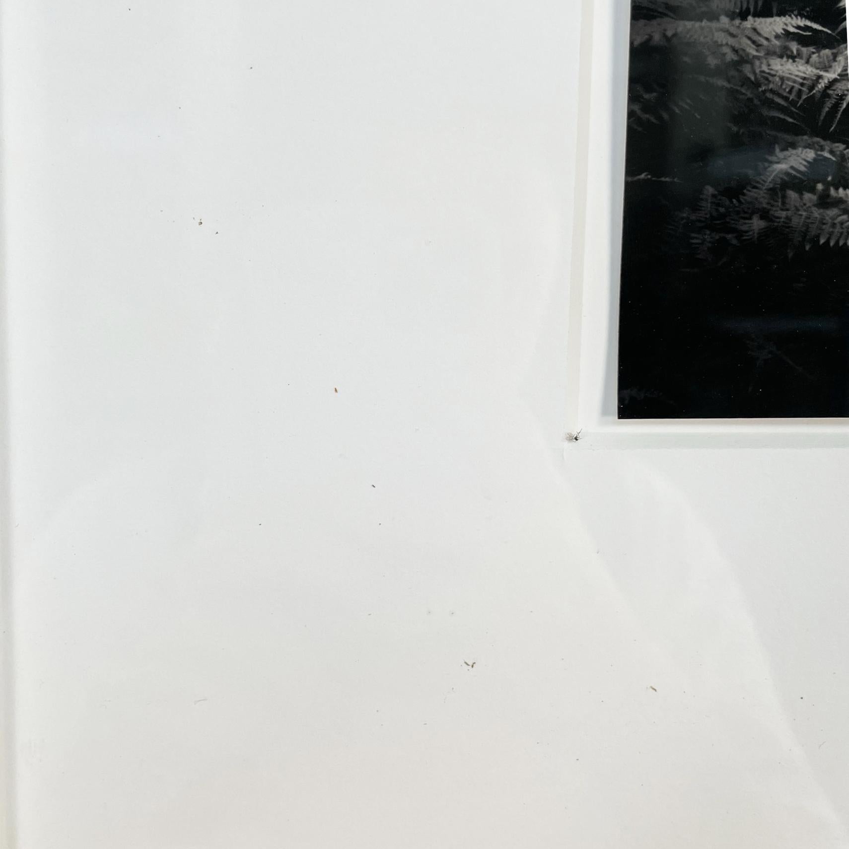 Japan Postmoderner Schwarz-Weiß-Fotodruck-Flow von Masao Yamamoto, 2009 im Zustand „Gut“ in MIlano, IT