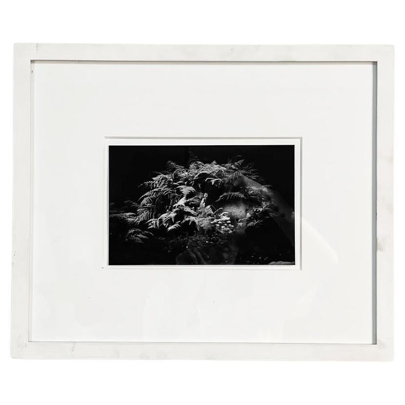 Japan Postmodern Black and White Photographic Print Flow by Masao Yamamoto, 2009