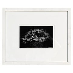 Japan Postmodern Black and White Photographic Print Flow by Masao Yamamoto, 2009