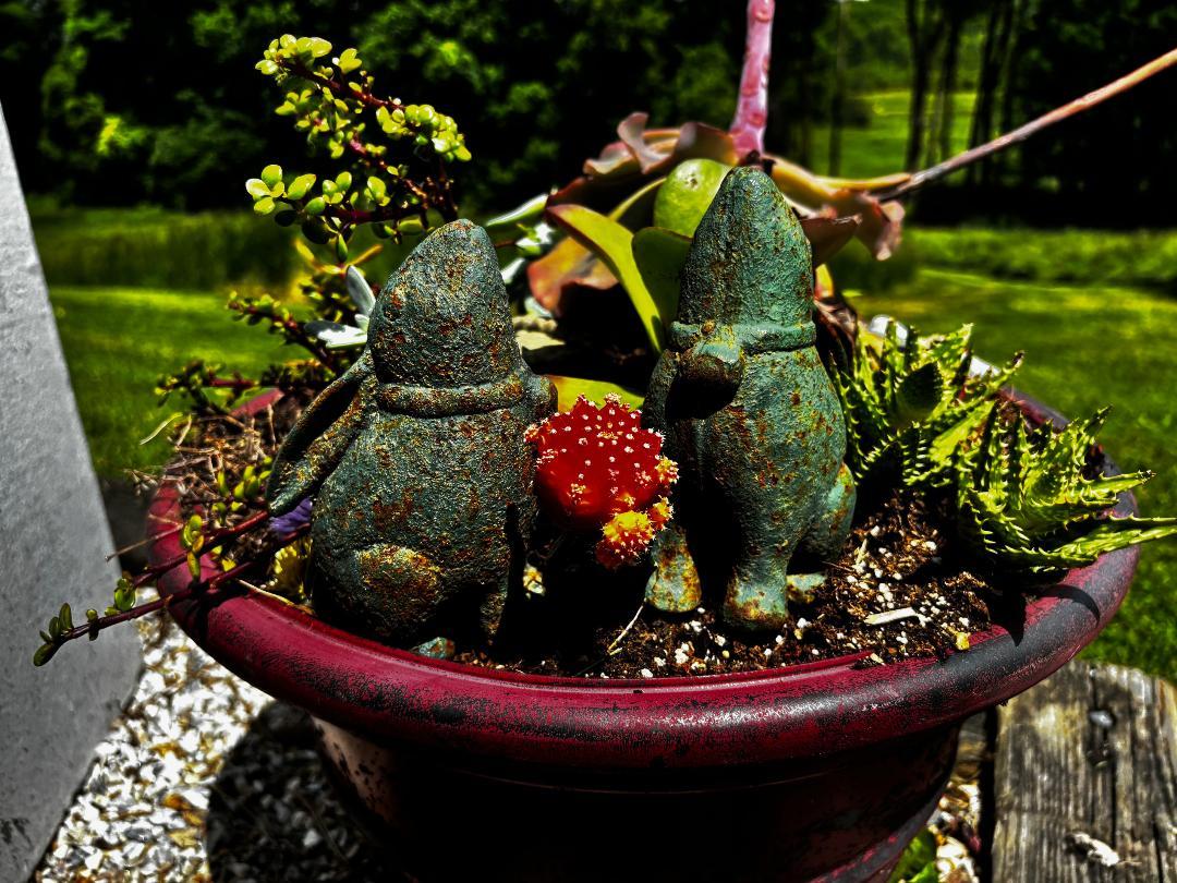 Japan Rare Pair Old “Moon Gazing