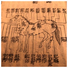 Antique Japan "Samurai Horses" Frameable Horse Woodblock Prints Book, 150 Yrs Old