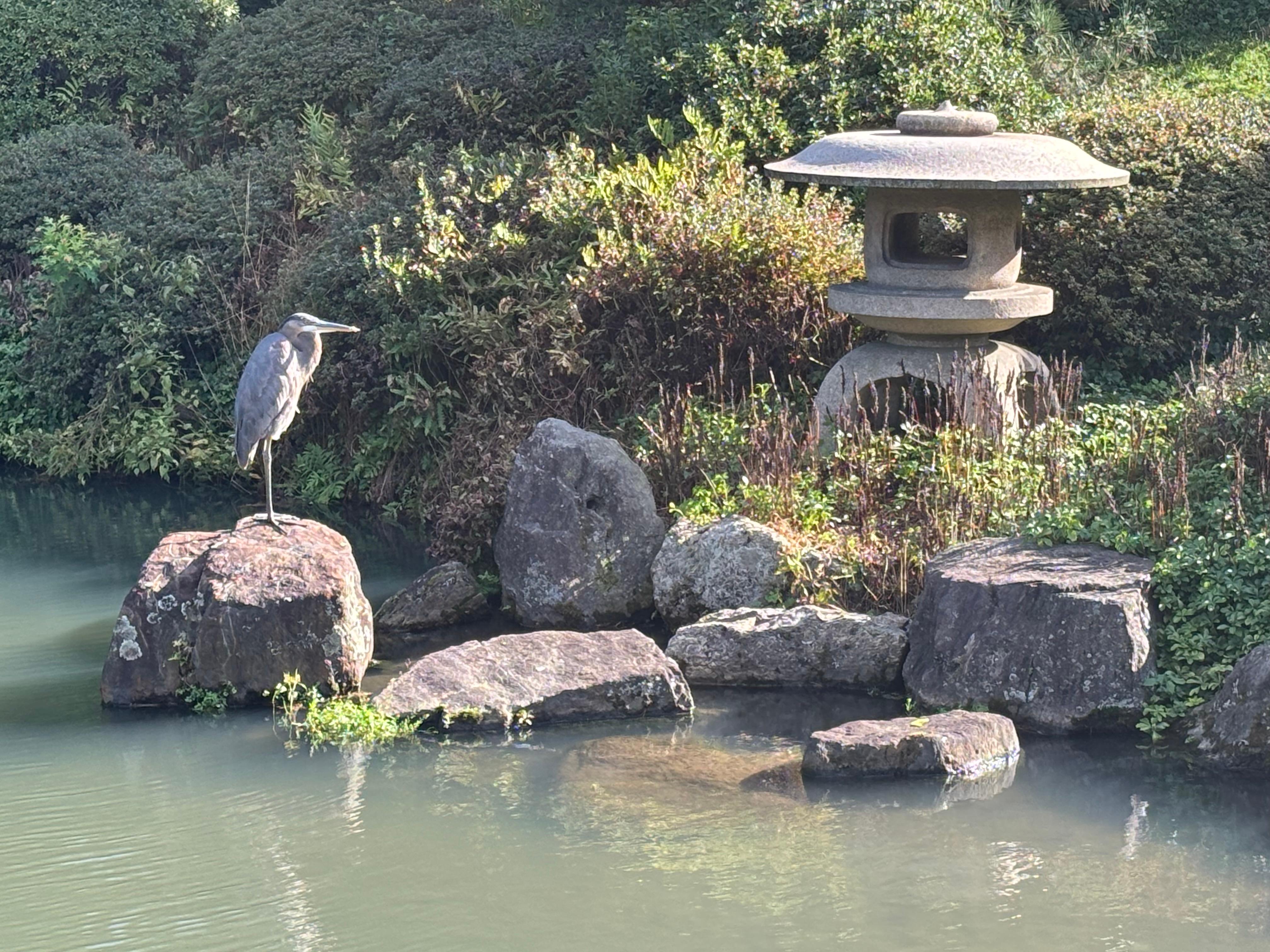 Japan Tall Granite Stone Round Top Yukimi Lantern With Special Trellis Carvings For Sale 6