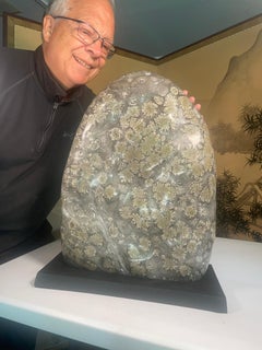 Japan Tall Starry Nights Chrysanthemum Stone Scholar Rock, 21" High