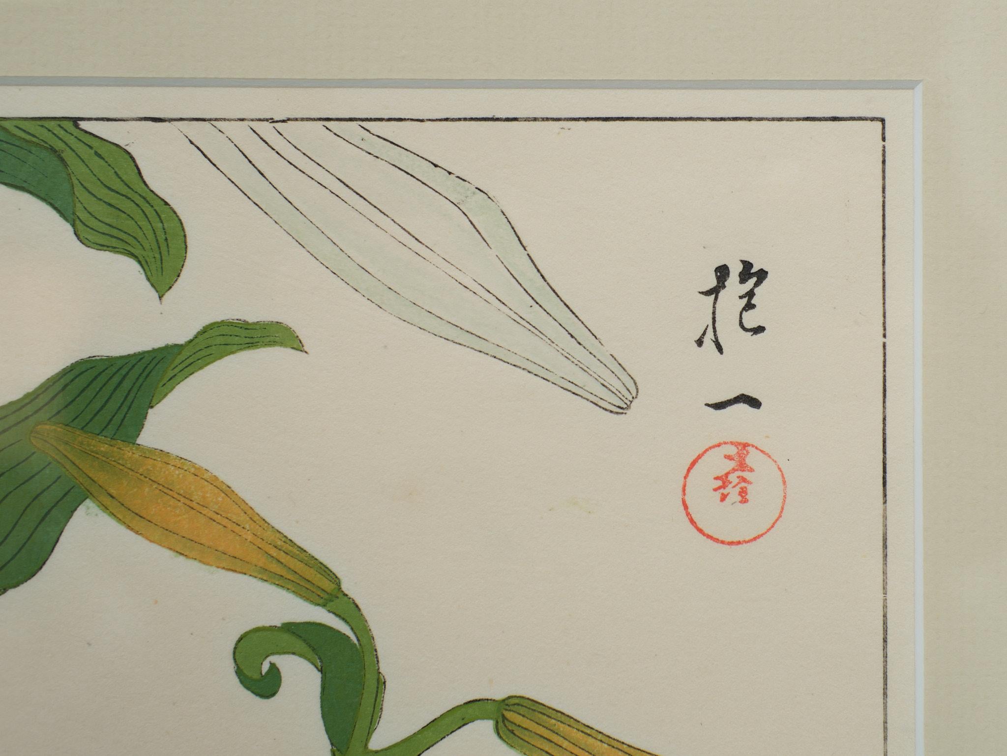 Japan Woodblock Print After Sakai Hoitsu, 1920s 5