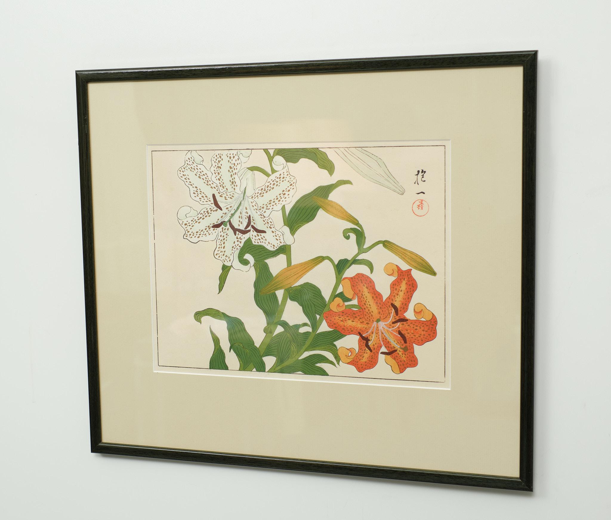 Japan Woodblock Print After Sakai Hoitsu, 1920s 6