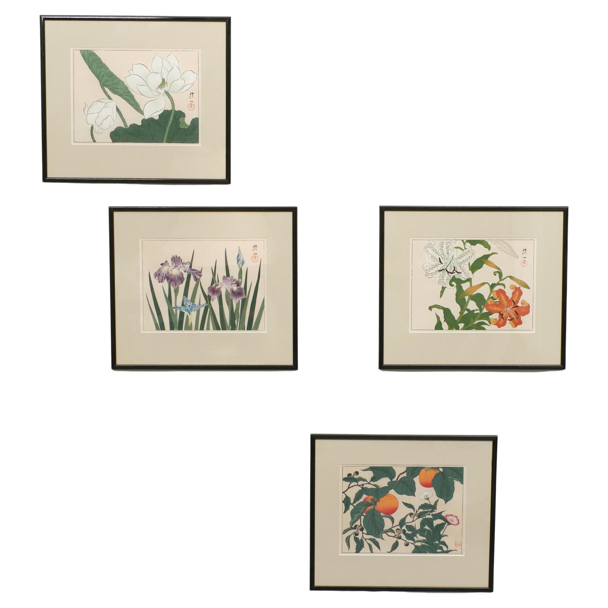 For sale four original woodblock prints 1920 /30 after Sakai Hoitsu 1761- 1823 
Great looking set, looks like 3D. Perfect Framing. UV protecting Glass.
