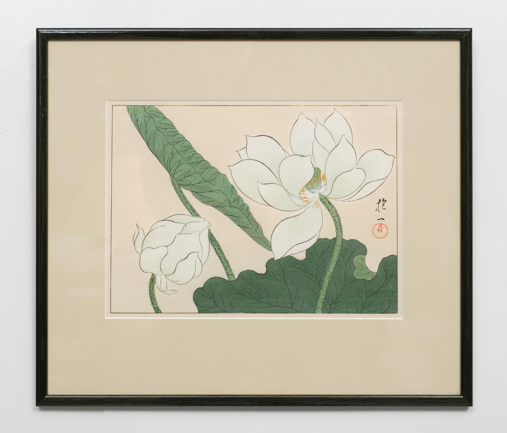Japonisme Japan Woodblock Print After Sakai Hoitsu, 1920s