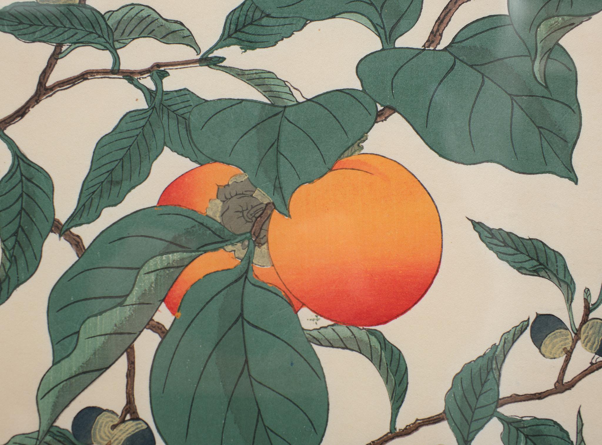 Japan Woodblock Print After Sakai Hoitsu, 1920s 1