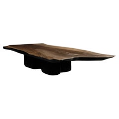 Retro Japandi Low Walnut Coffee Table by Eero Moss - EM109