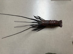 Japanese 19th Century articulated copper lobster