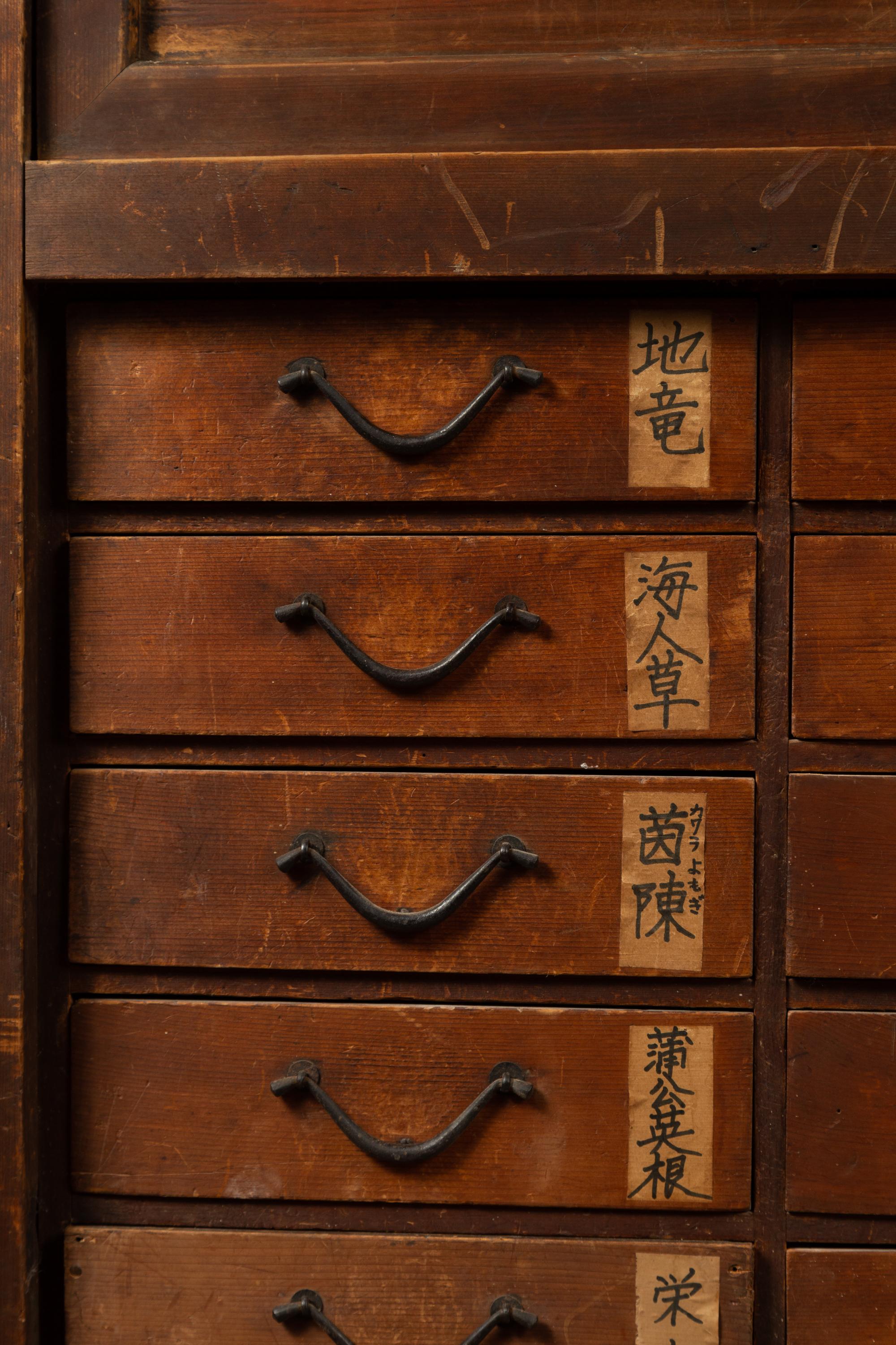 japanese apothecary chest