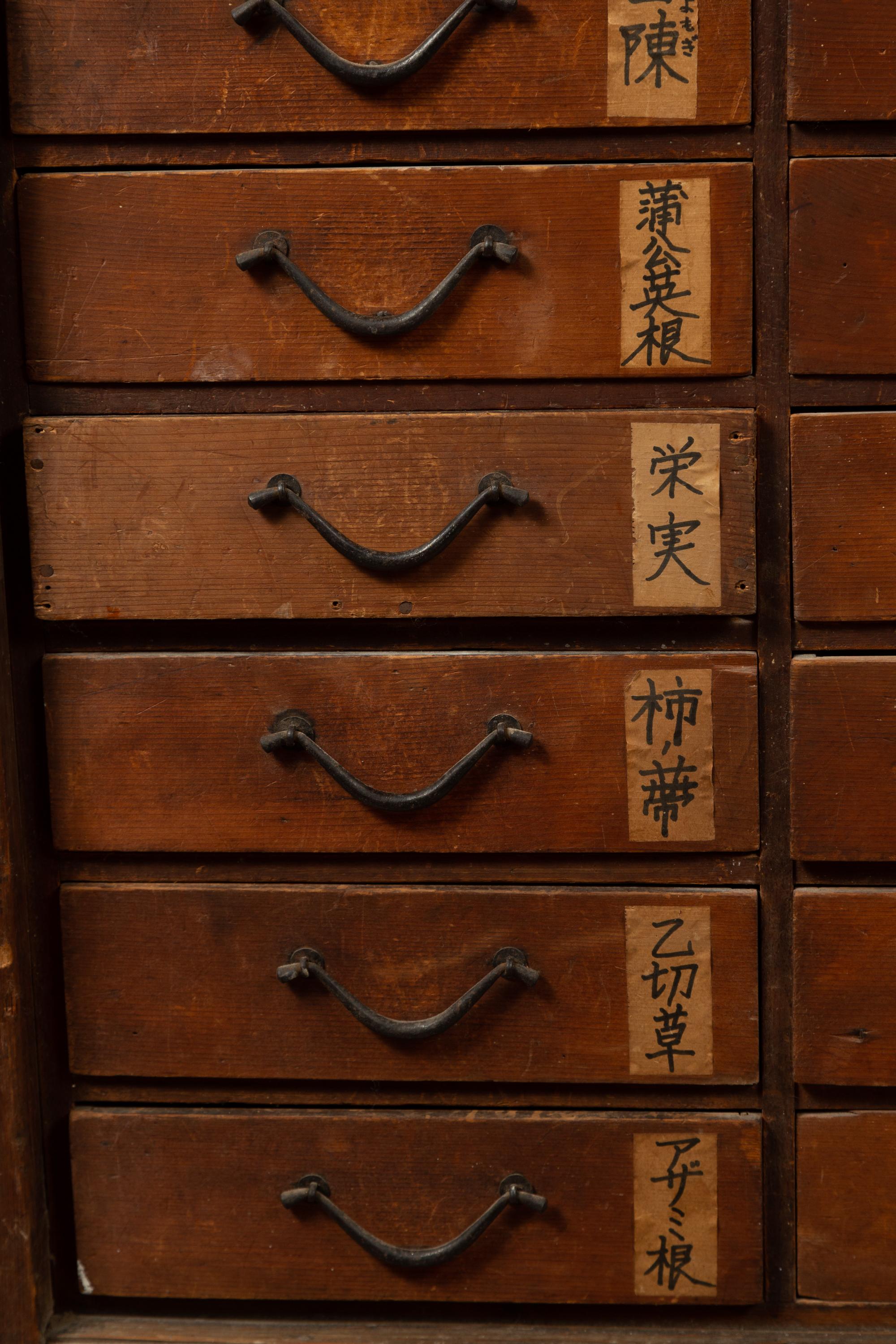 Japanese 19th Century Meiji Period Apothecary Cabinet with 27 Drawers and Doors In Good Condition In Yonkers, NY