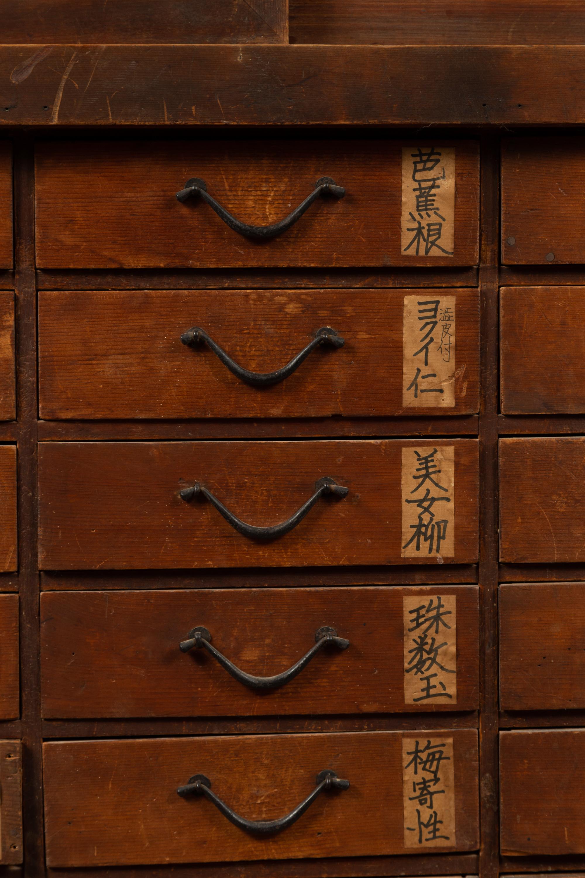Metal Japanese 19th Century Meiji Period Apothecary Cabinet with 27 Drawers and Doors