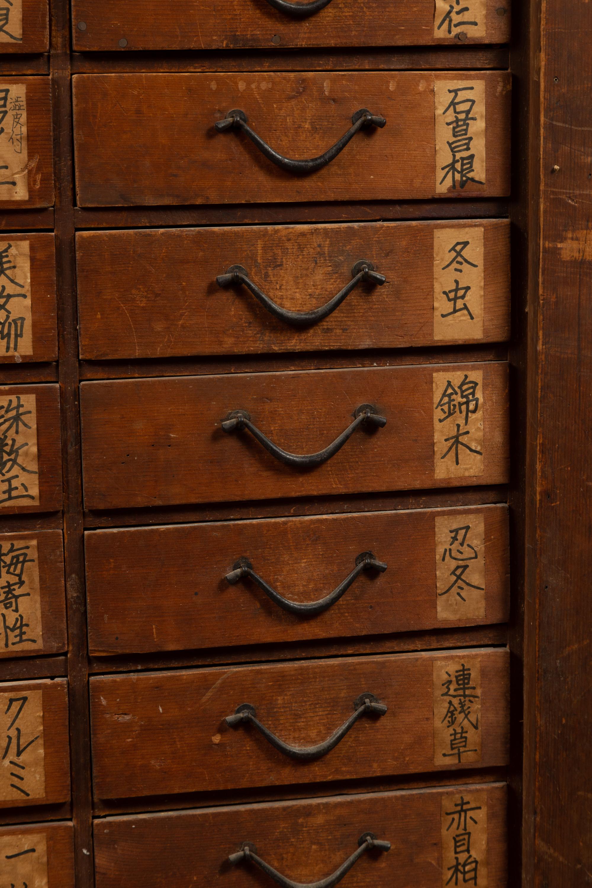 Japanese 19th Century Meiji Period Apothecary Cabinet with 27 Drawers and Doors 1