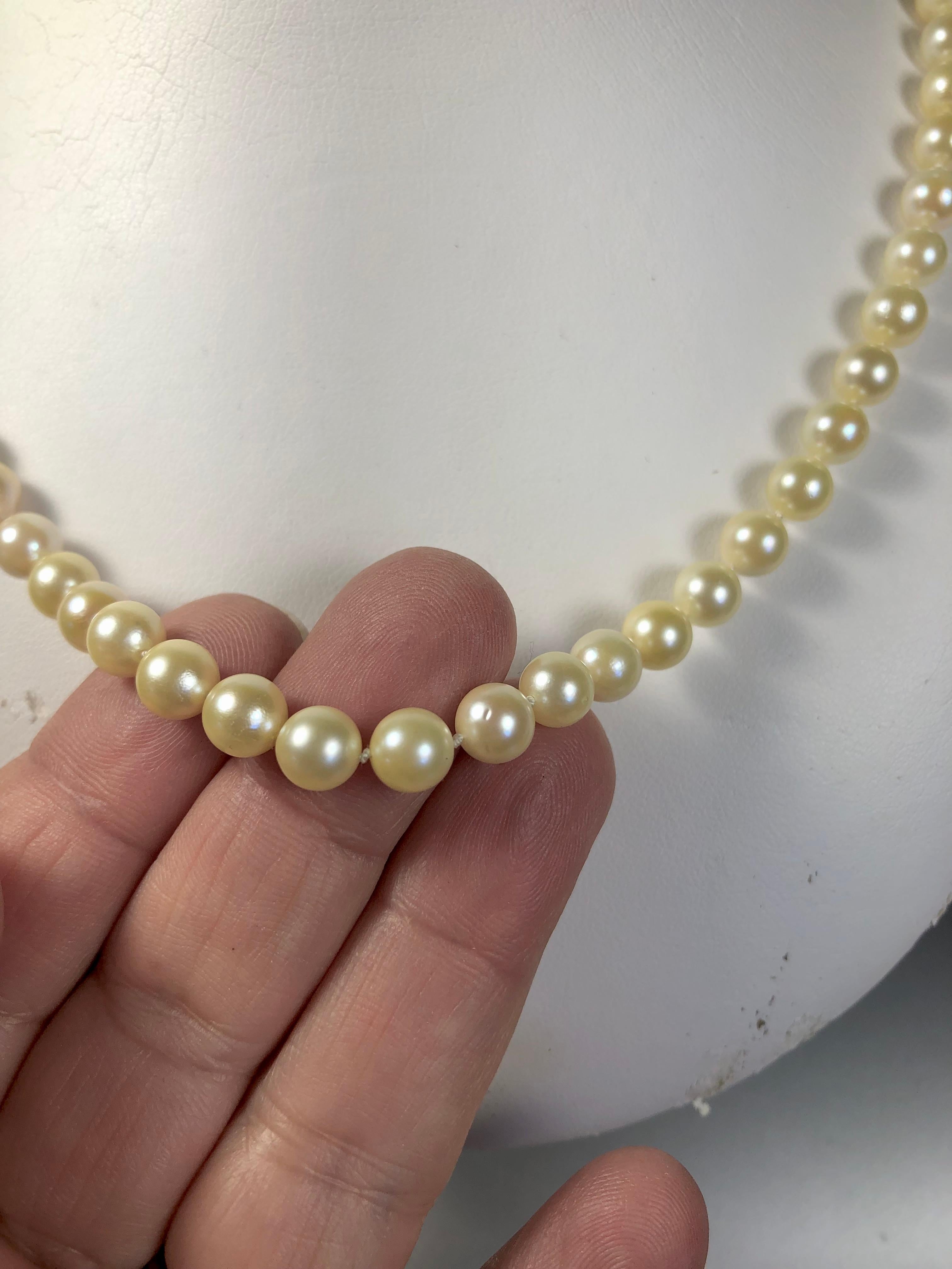 Perle Collier de perles Akoya japonaises en or 14 carats en vente