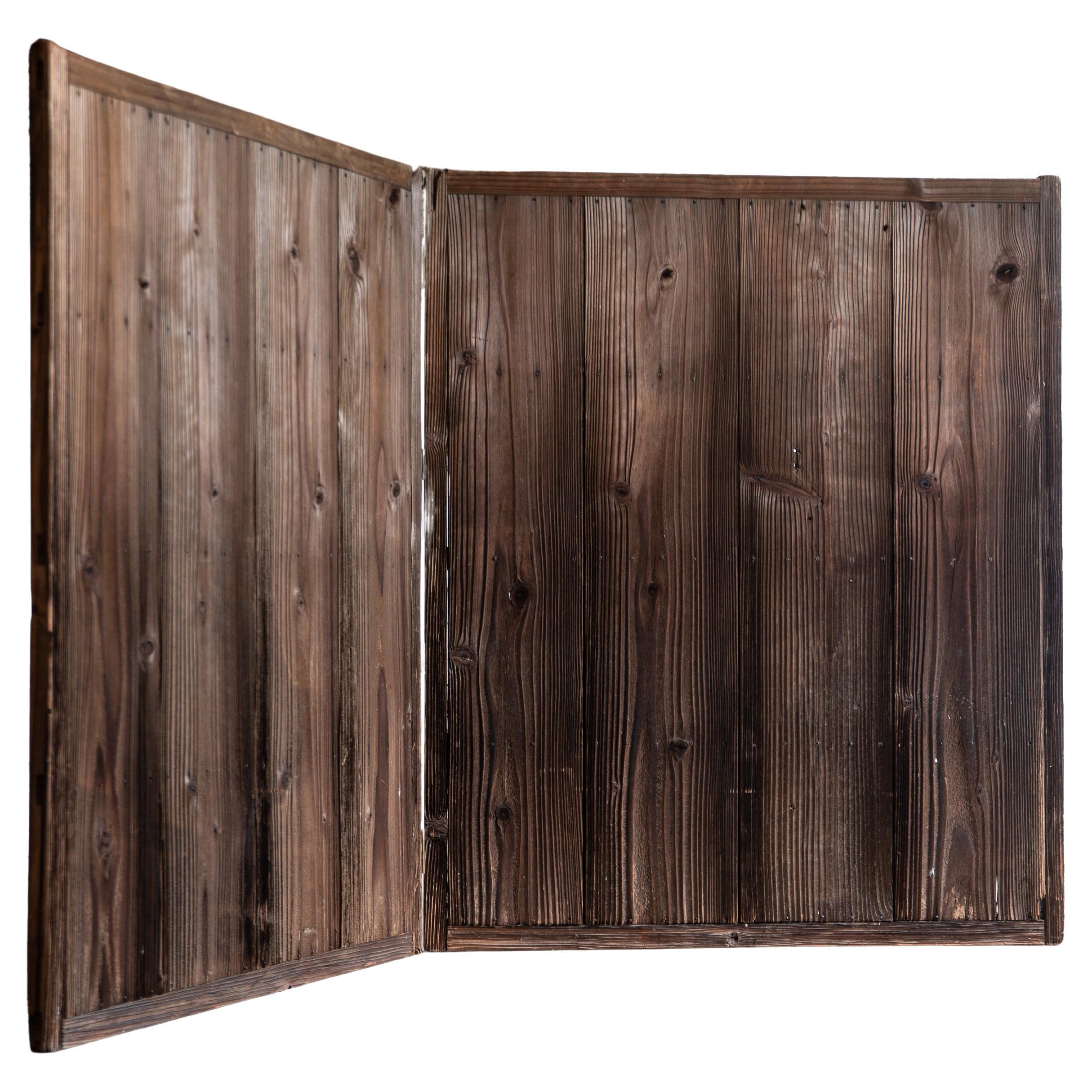Japanese antique 2 wood panel folding room divider, Byobu, folding screen