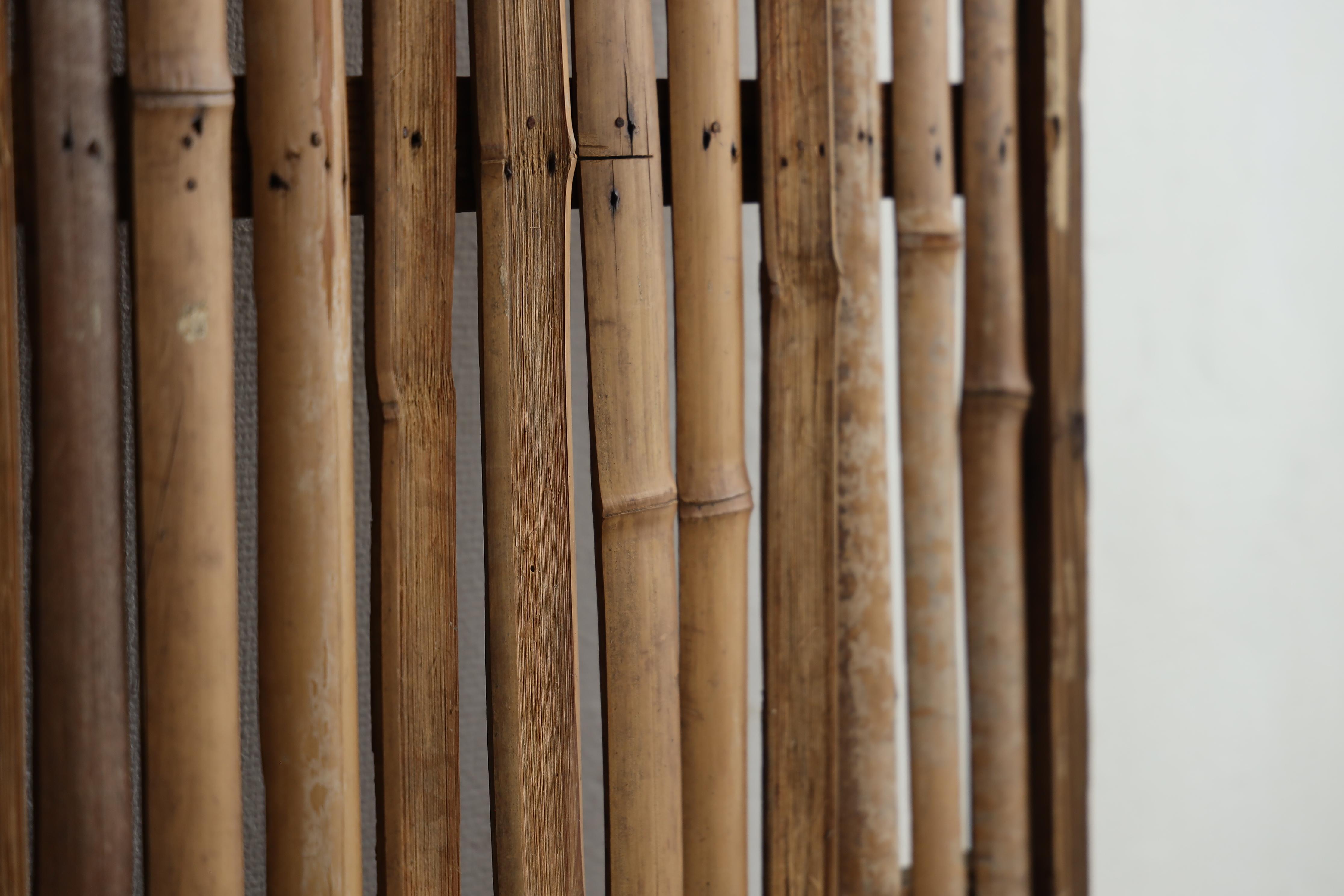 Porte coulissante japonaise ancienne en bambou, Objects for Objects, Wabisabi Door（4） en vente 4