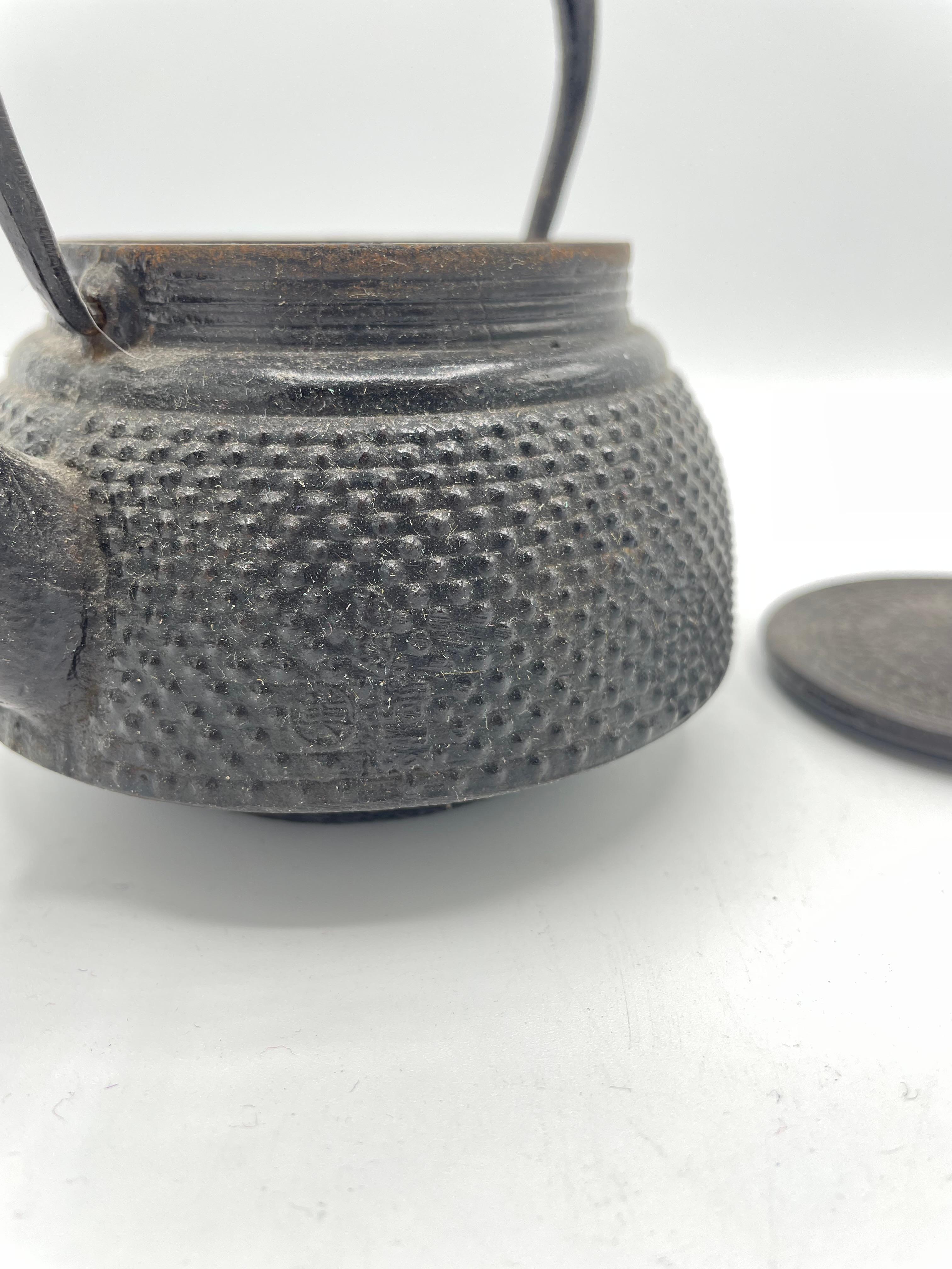 Showa Japanese Antique Cast-Iron Tea Pot 'Dot' 1980s For Sale