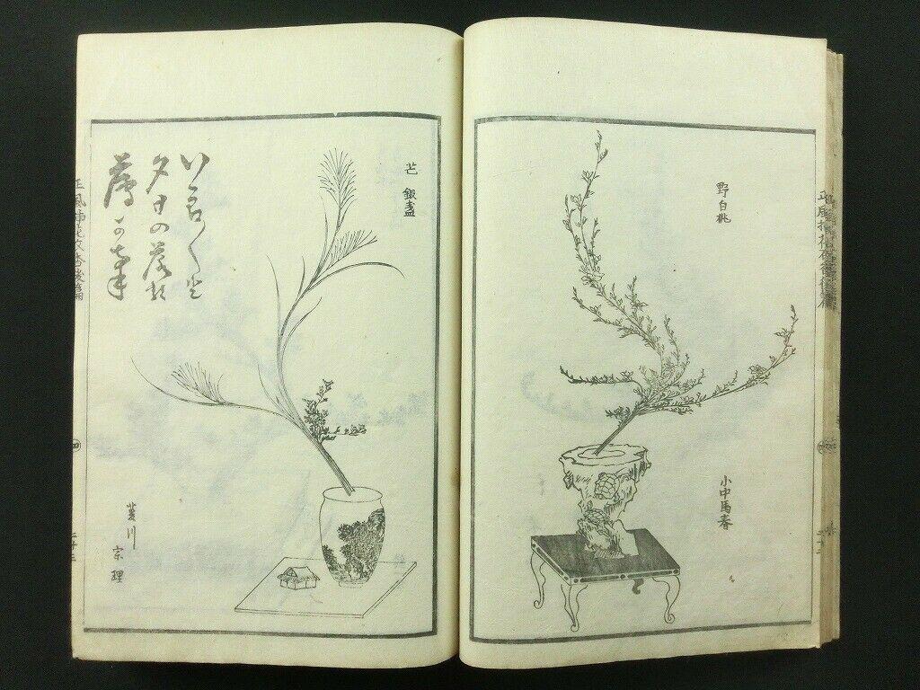 Japanese Antique Flower Arranging Ikebana Book 1812 1