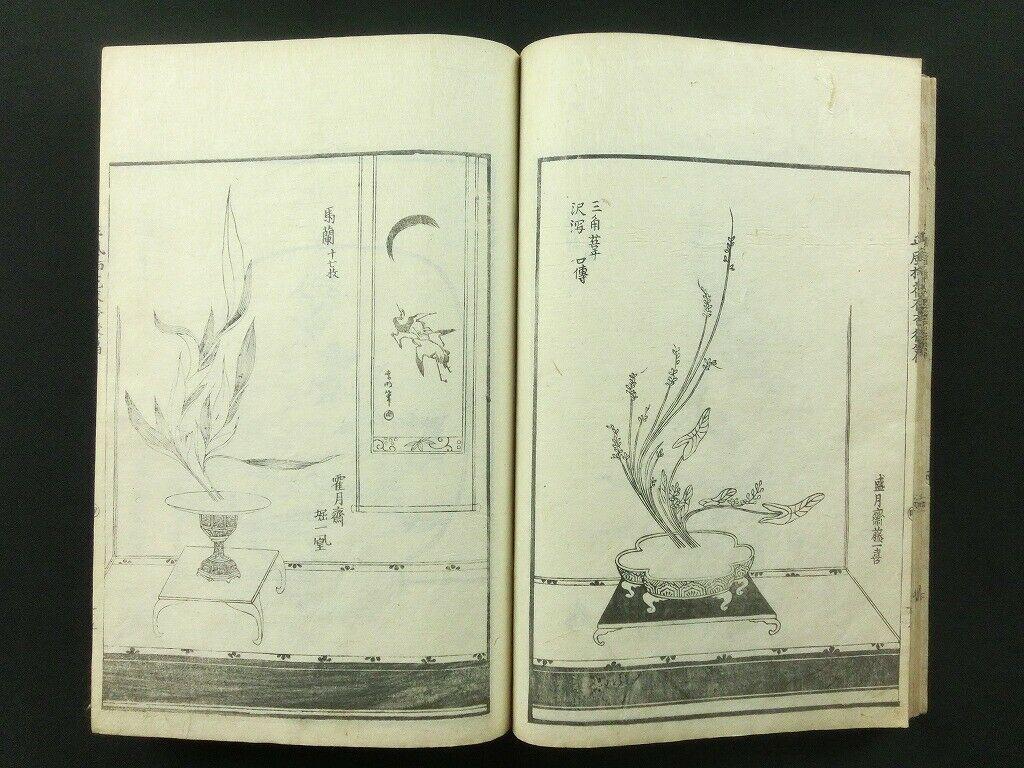 Japanese Antique Flower Arranging Ikebana Book 1812 3
