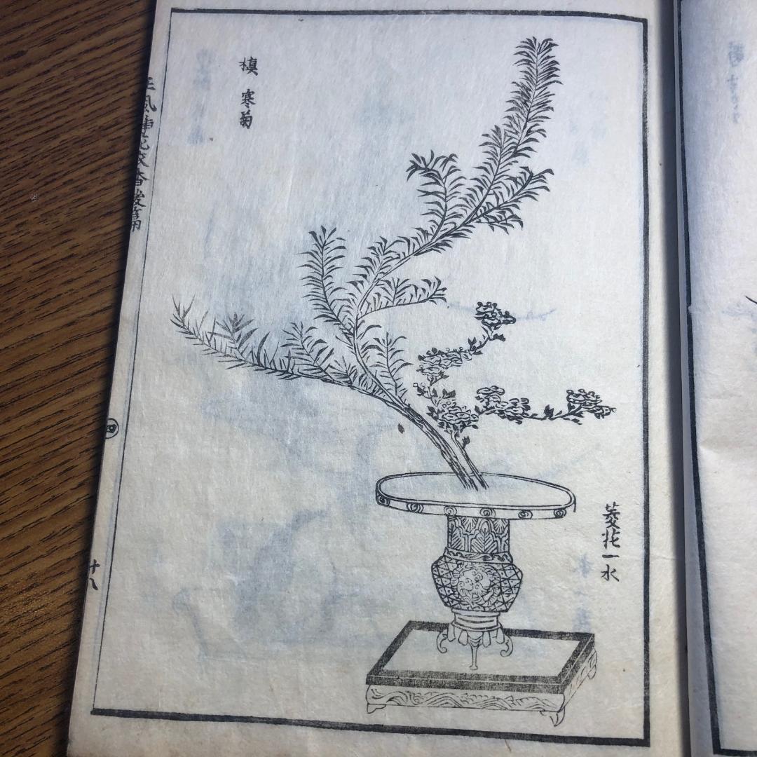Japanese Antique Flower Arranging Ikebana Book 1812 4