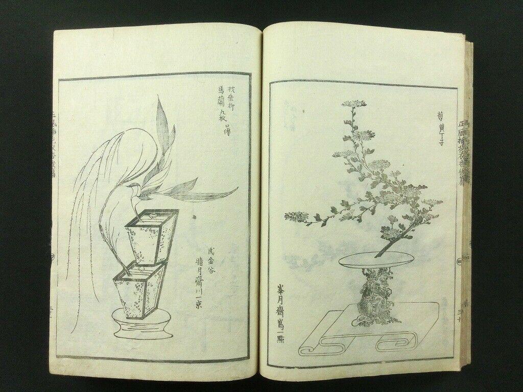 Japanese Antique Flower Arranging Ikebana Book 1812 6