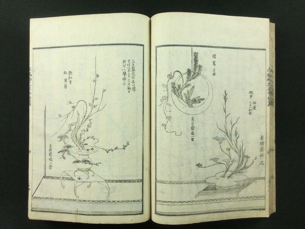 Japanese Antique Flower Arranging Ikebana Book 1812 7