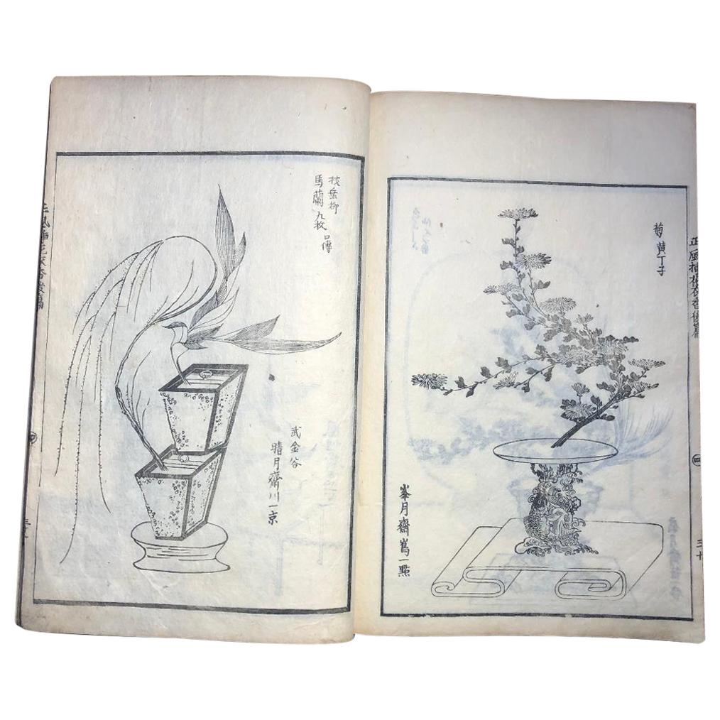 Japanese Antique Flower Arranging Ikebana Book 1812