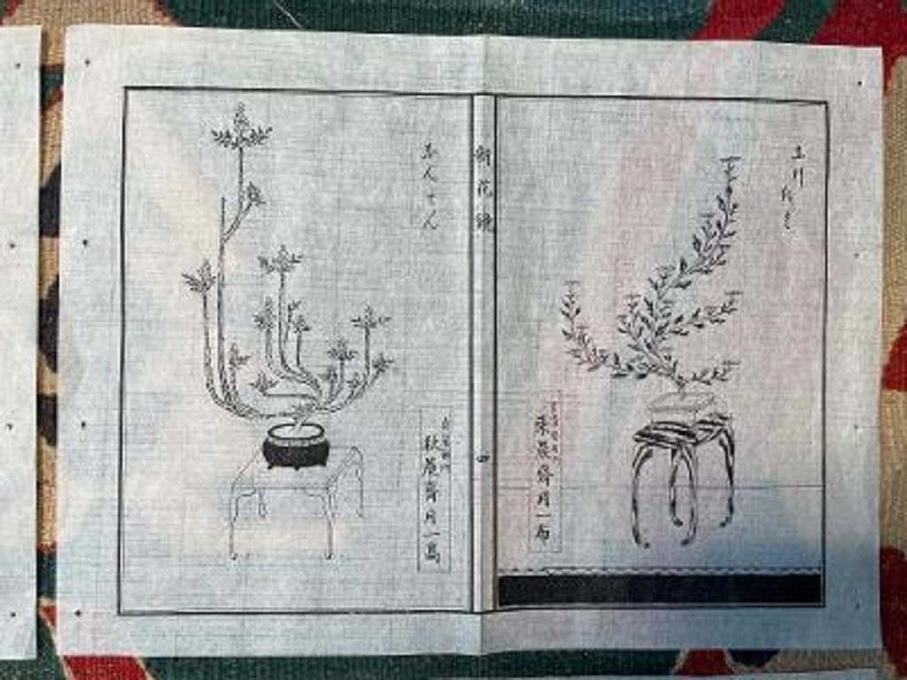 19th Century Japanese Antique Flower Ikebana Wood Block Prints
