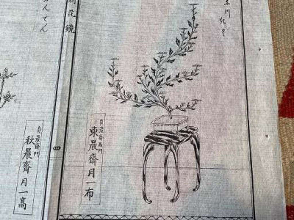 Paper Japanese Antique Flower Ikebana Wood Block Prints