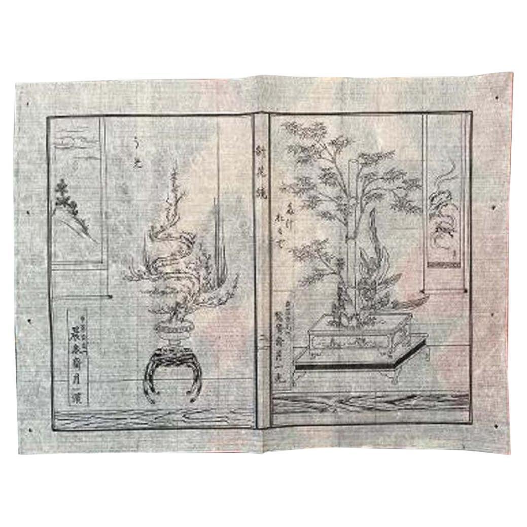 Japanese Antique Flower Ikebana Wood Block Prints