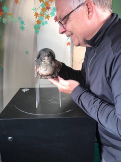 Japanese Antique Folk Tanuki Handmade Hand Glazed Black Big Belly Party Animal