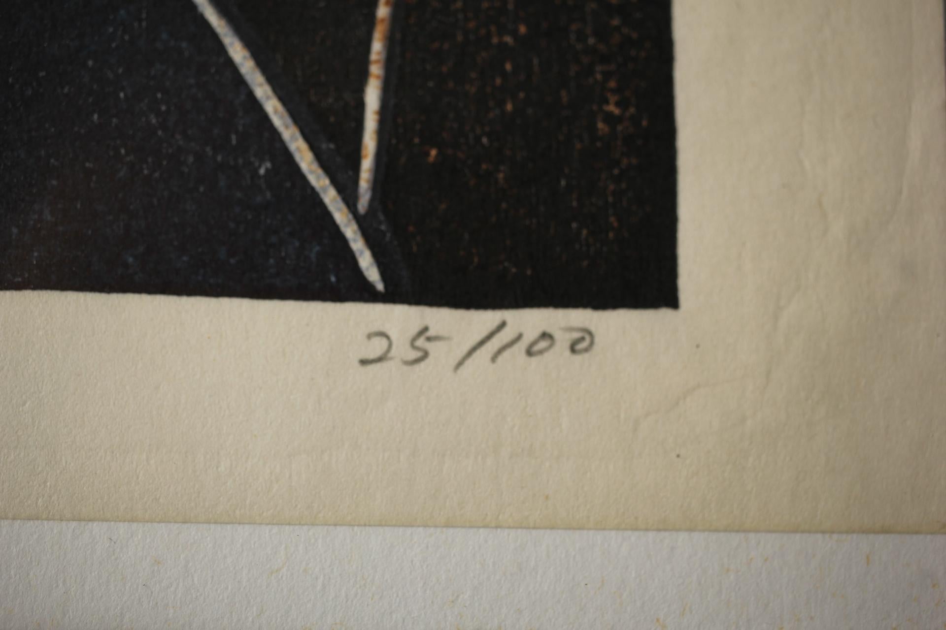 Japanese Antique Hagiwara Hideo Thirty-six Fujis Light and Dark, Woodblock print For Sale 10