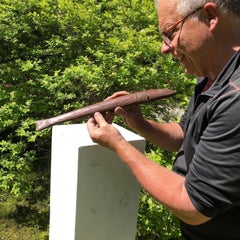 Japanese Antique Hand Carved Wood Fortune Fish