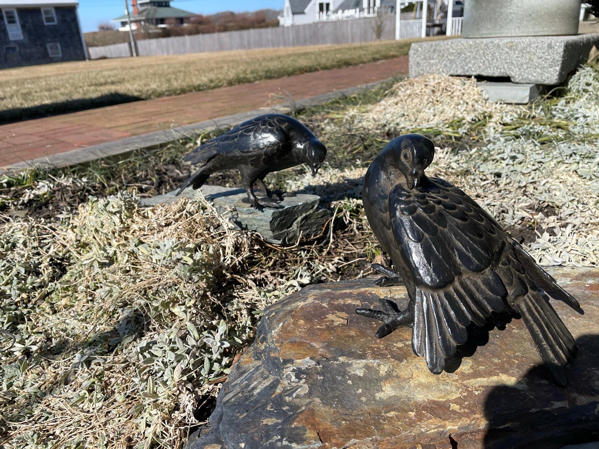 Japanese Antique Hand Cast Pair Black Wood Pigeons, Beautiful Details In Good Condition In South Burlington, VT
