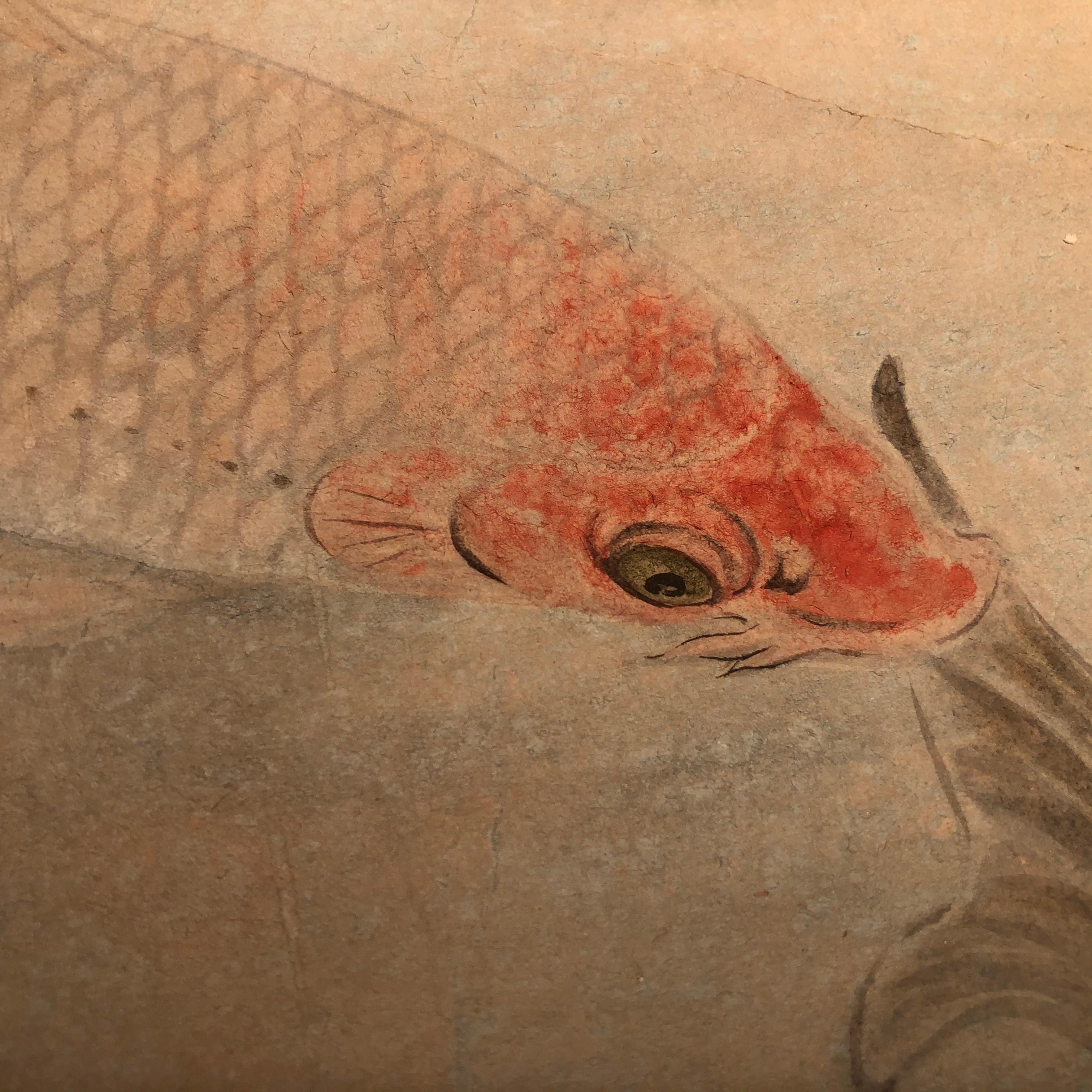 Japanese Hand Painted Scroll Family Koi Fish 5