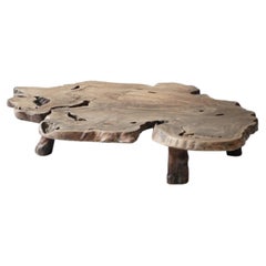 Mesa baja o expositor antiguo japonés de madera de keyaki, décadas de 1920 a 1940, wabi-sabi