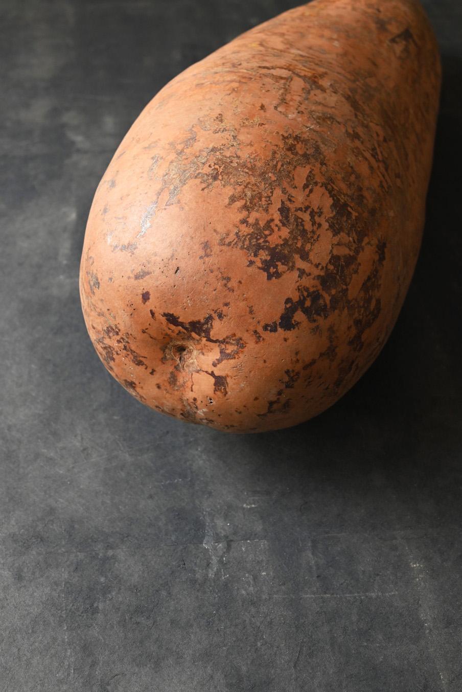 Jarrón japonés antiguo de flores de calabaza larga/1868-1920/objeto colgante de pared en venta 5