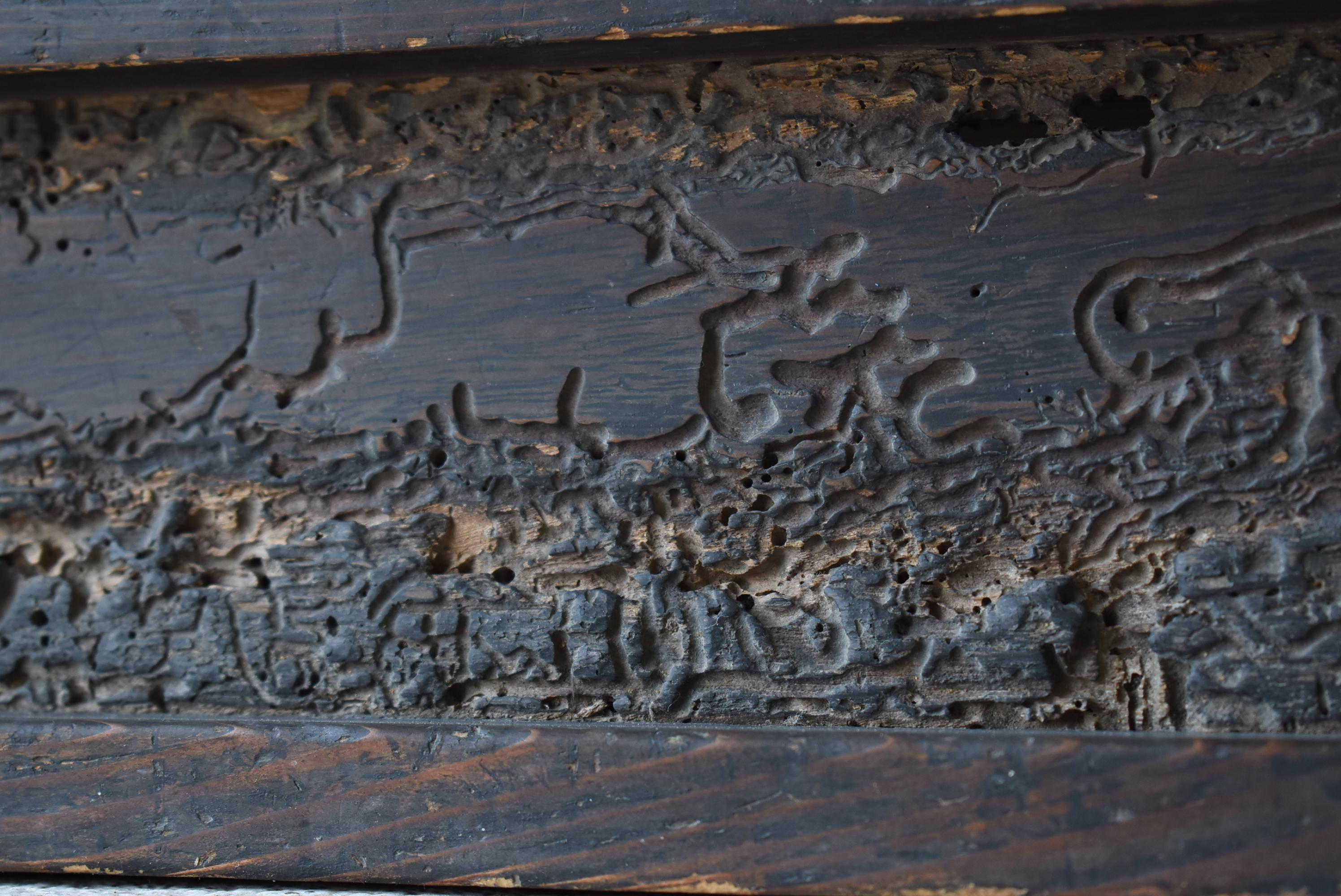 Japanese Antique Low Table 1860s-1900s / Exhibition Table Mingei Wabi-Sabi 1