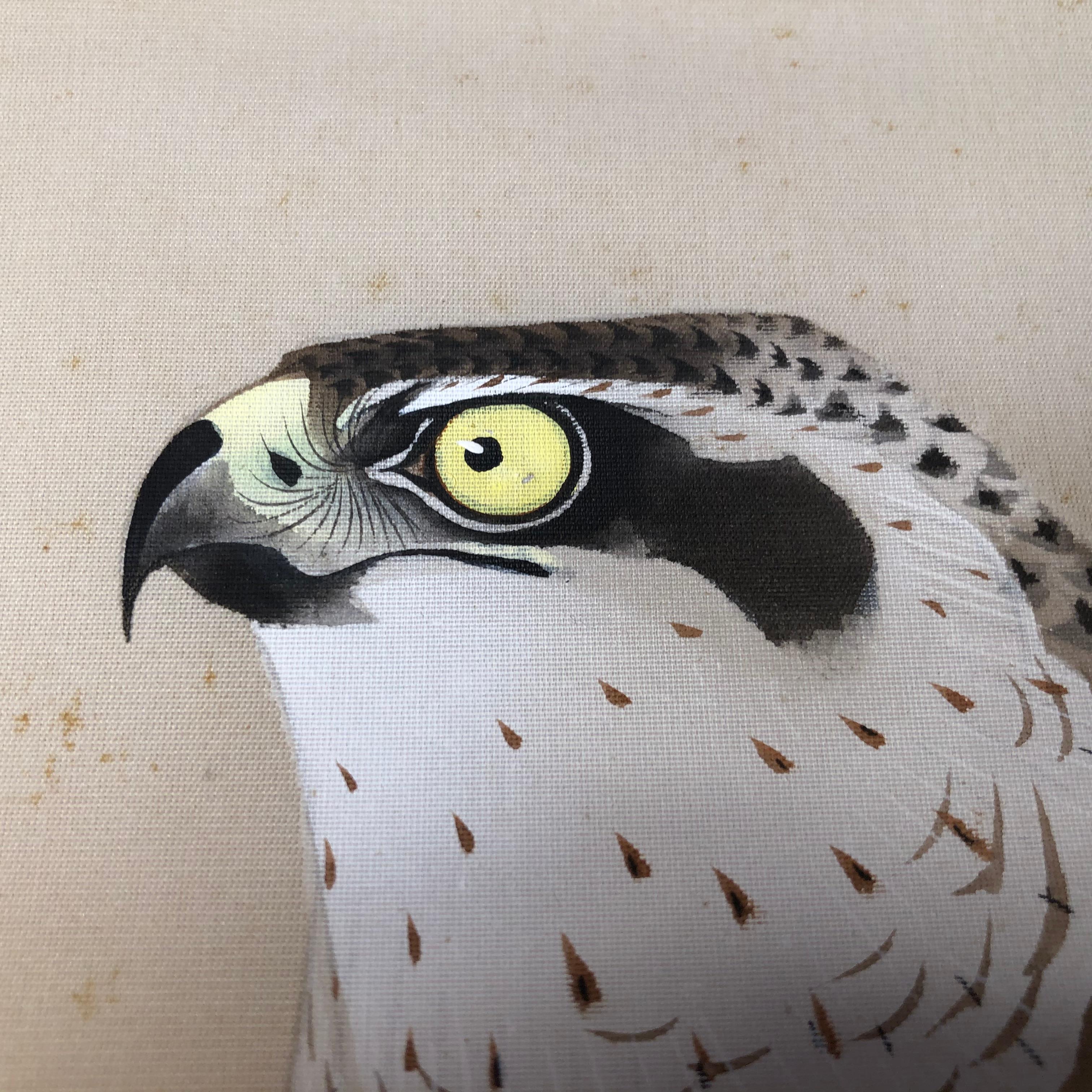 A Gem From Nature

A very fine and delicate Japanese antique entirely hand painted paper scroll of one of nature's king of soaring birds a hawk or eagle perched in an astute pose eyeing a watery body below as if ready for a strike. From circa