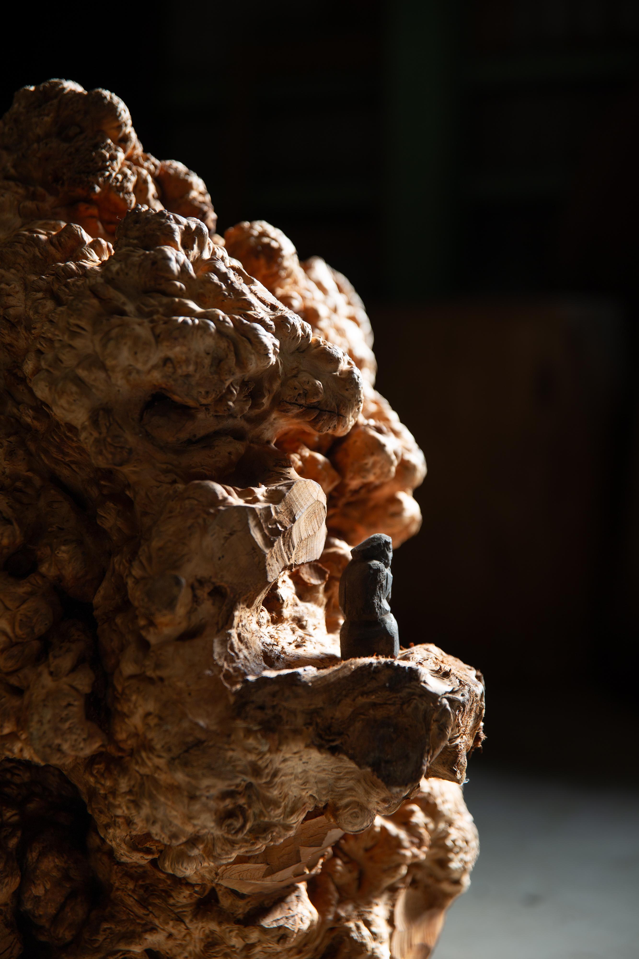 JapanischAntike massive Wurzelholzplatte Skulptur wabi sabi Kunstwerk objet d'art im Angebot 9