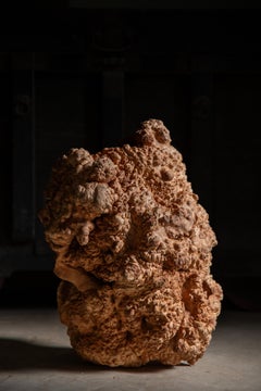 Japanese Antique massive burl wood slab Sculpture wabi sabi art piece objet dart