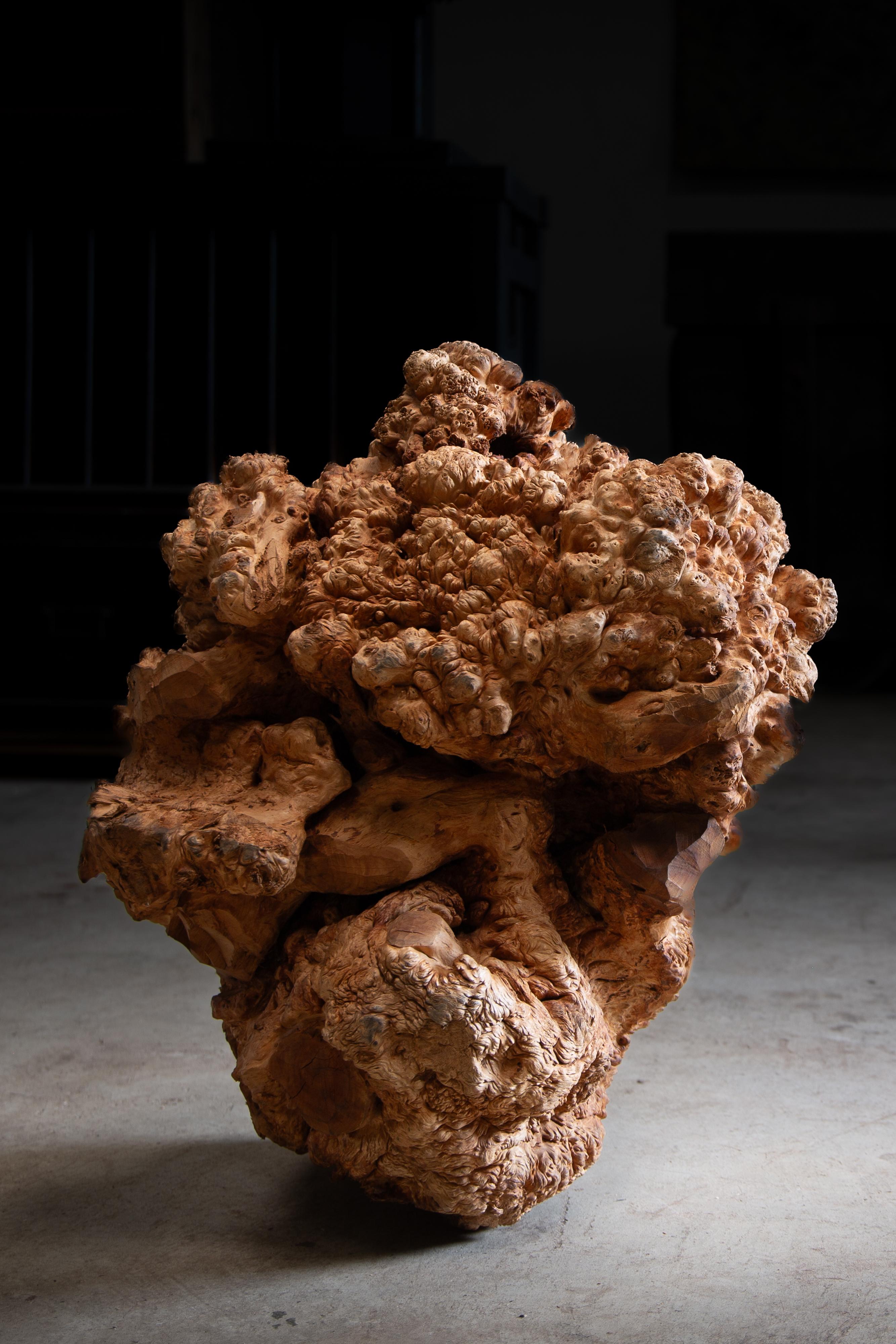 JapanischAntike massive Wurzelholzplatte Skulptur wabi sabi Kunstwerk objet d'art (Primitiv) im Angebot